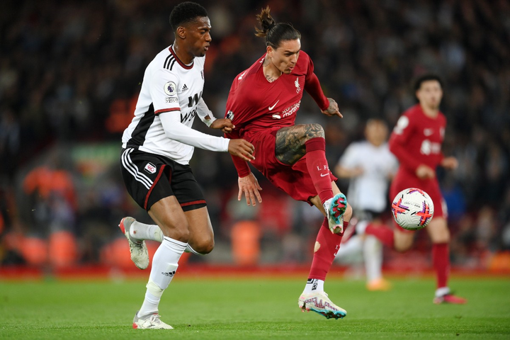 亚博体育-诺维奇足球