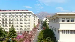 yabo-青岛黄海战胜劲旅,完成一场精彩逆转的旅行
